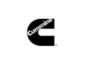 _0010_cummins